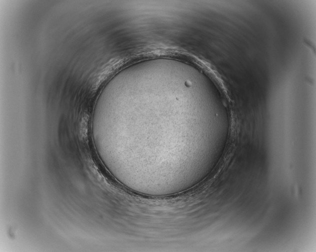 X0000100420010200806201833