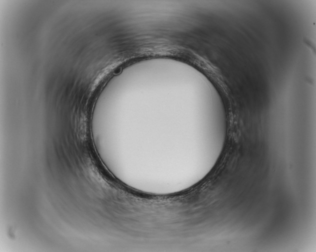X0000100420012200806201833