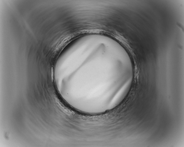 X0000100420013200806201833