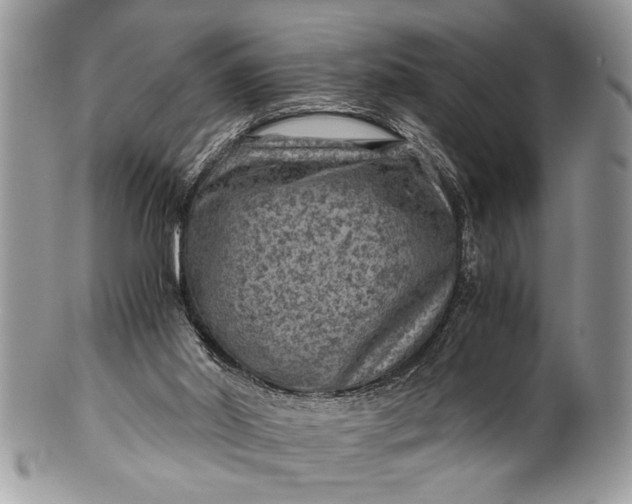 X0000100420014200806201833