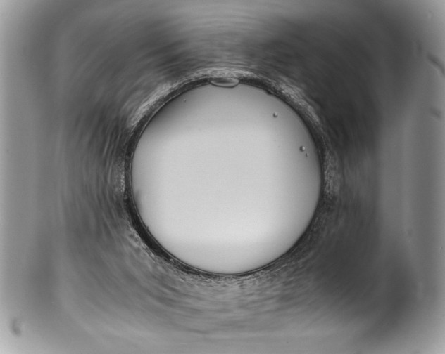 X0000100420015200806201833