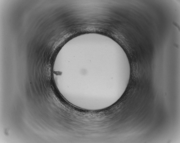 X0000100420016200806201833