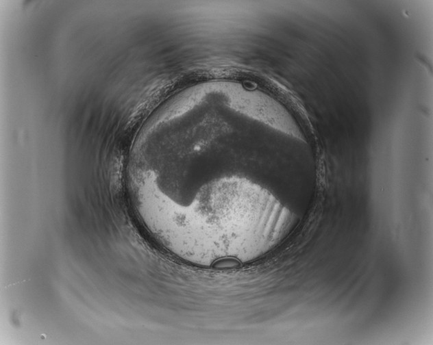 X0000100420018200806201833
