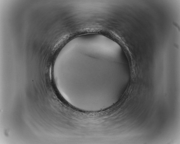 X0000100420019200806201833