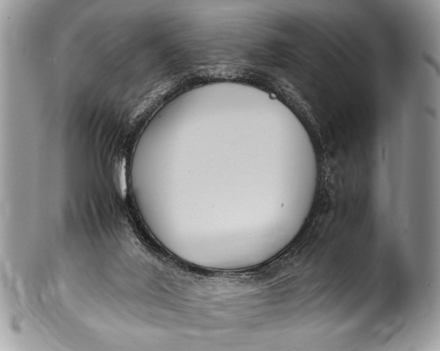 X0000100420020200806201833