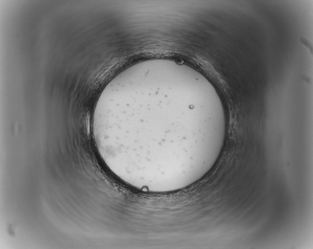 X0000100420021200806201833
