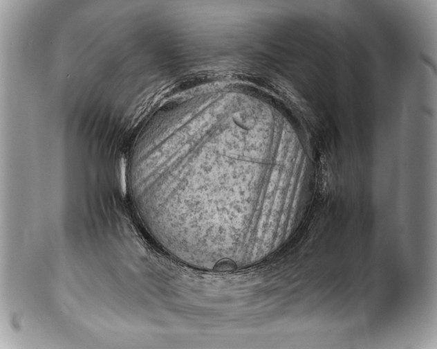 X0000100420022200806201833
