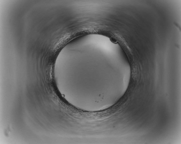 X0000100420023200806201833