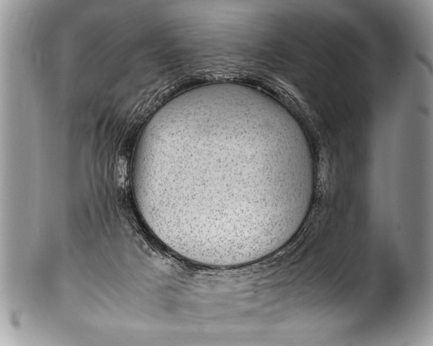 X0000100420025200806201833