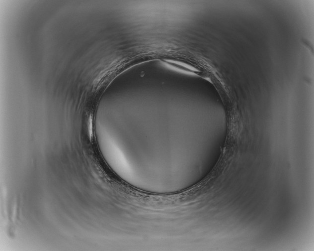 X0000100420027200806201833