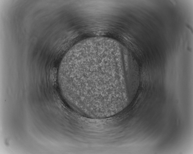 X0000100420030200806201833