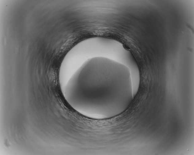 X0000100420031200806201833