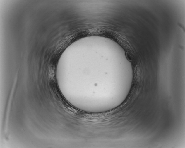 X0000100420033200806201833