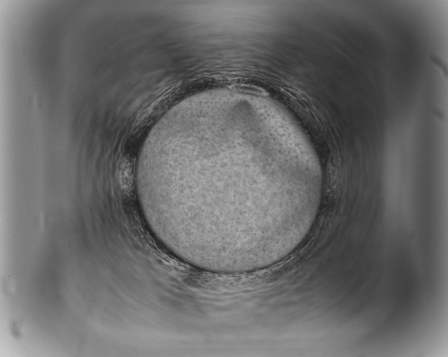 X0000100420037200806201832