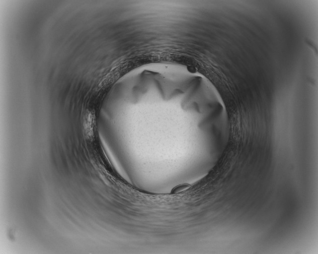 X0000100420038200806201832