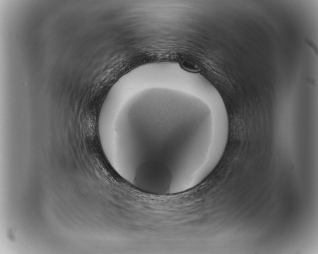 X0000100420039200806201832