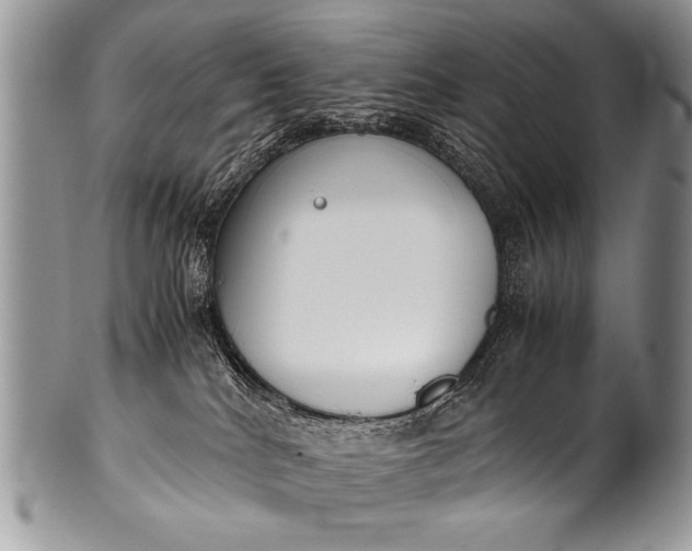 X0000100420040200806201832