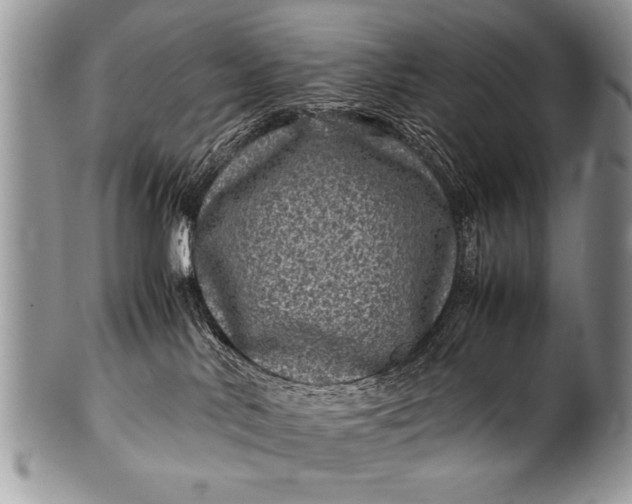 X0000100420042200806201832