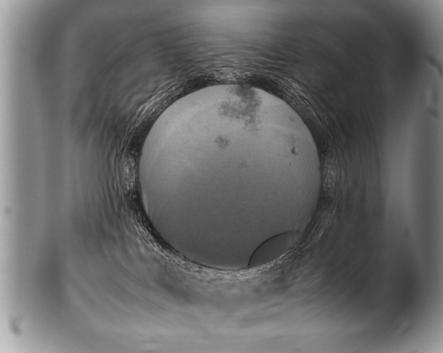 X0000100420043200806201832