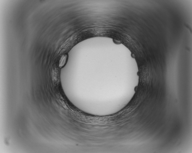 X0000100420044200806201832