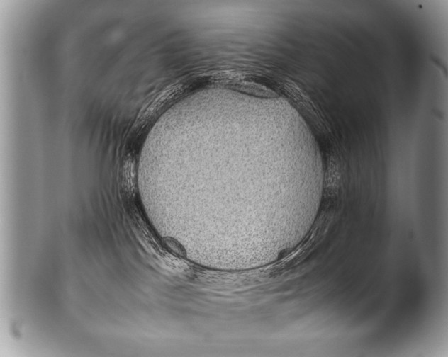 X0000100420045200806201832