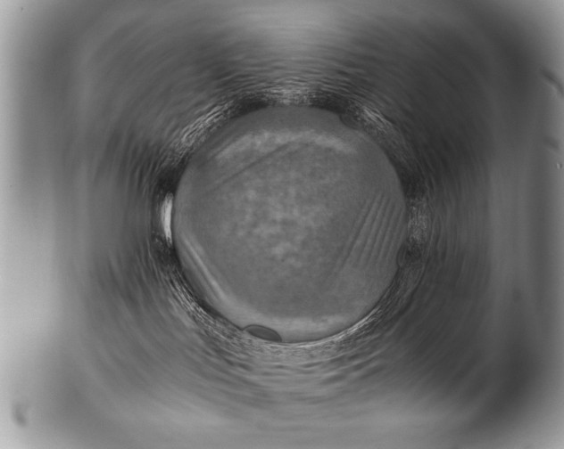 X0000100420047200806201832