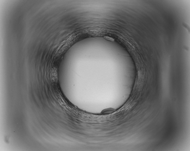 X0000100420048200806201832