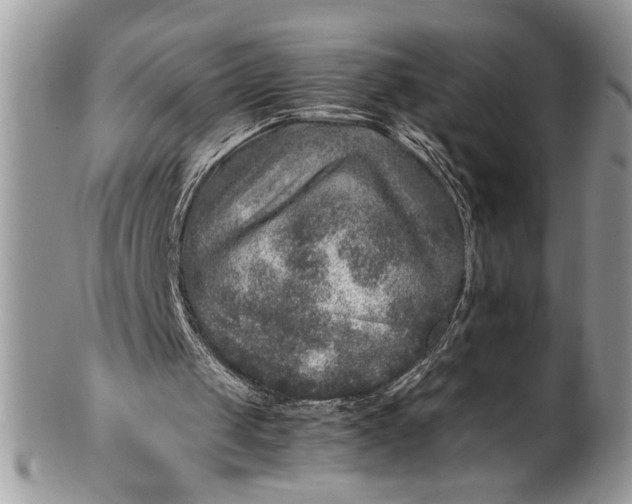 X0000100420049200806201832