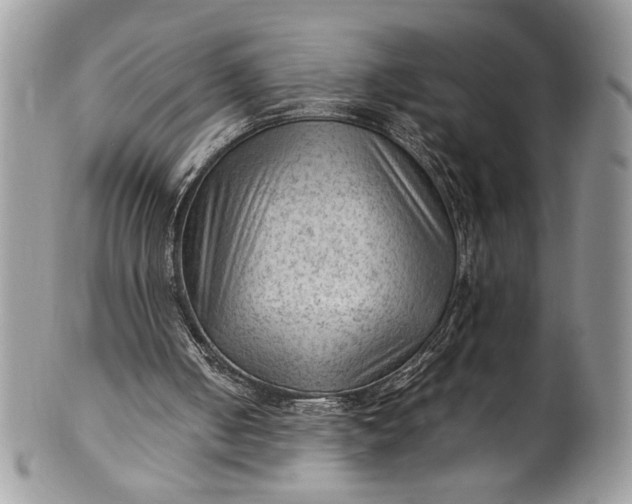 X0000100420050200806201832