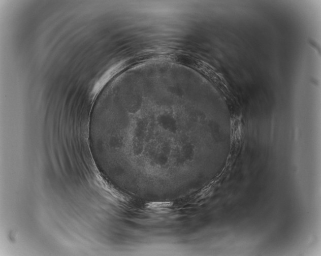 X0000100420051200806201832