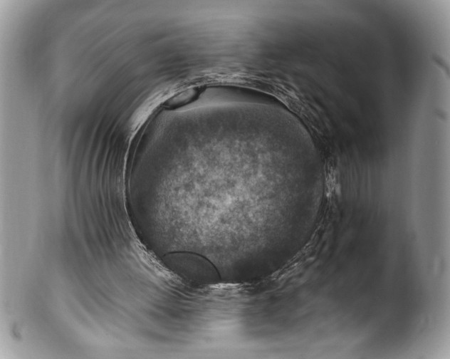 X0000100420052200806201832