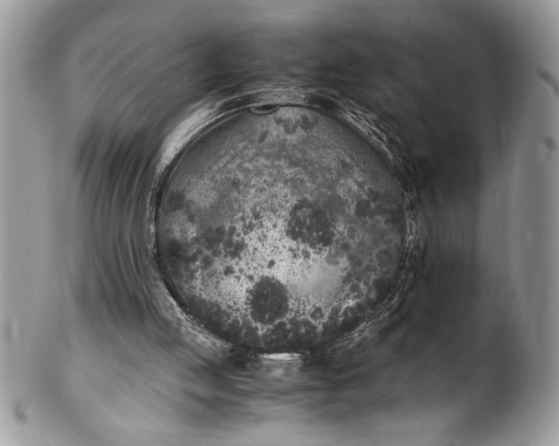 X0000100420053200806201832