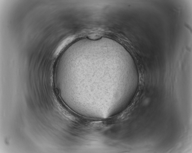X0000100420054200806201832