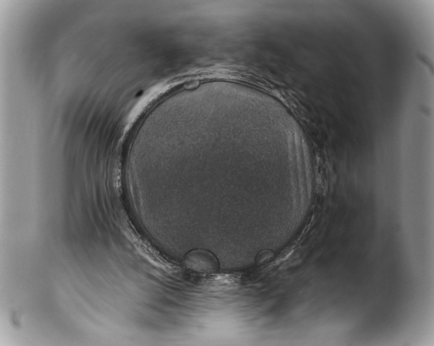 X0000100420056200806201832