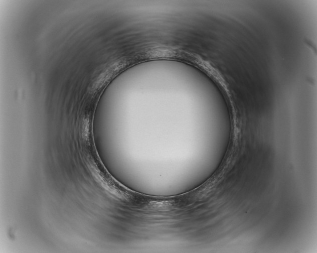 X0000100420057200806201832