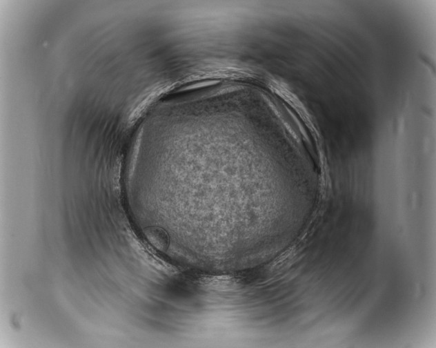X0000100420058200806201832