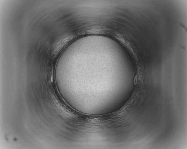 X0000100420062200806201832