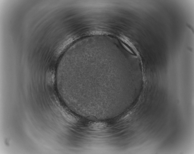 X0000100420063200806201832