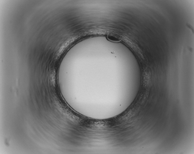 X0000100420064200806201832