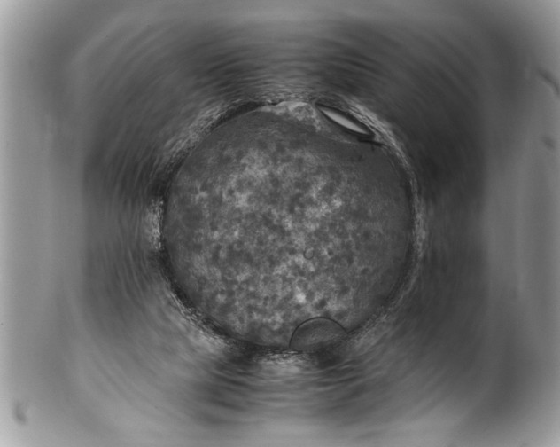 X0000100420065200806201832