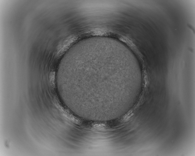 X0000100420066200806201832