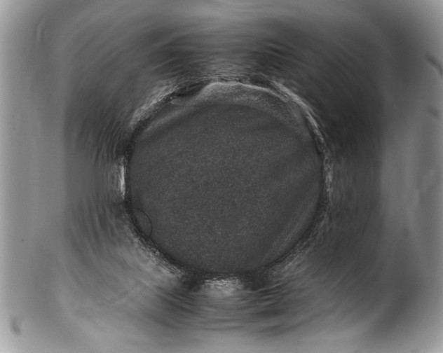 X0000100420067200806201832