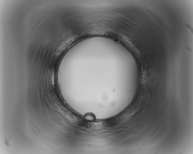 X0000100420068200806201832
