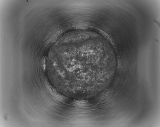 X0000100420069200806201832