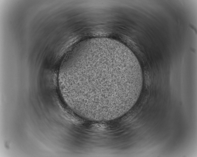 X0000100420071200806201832