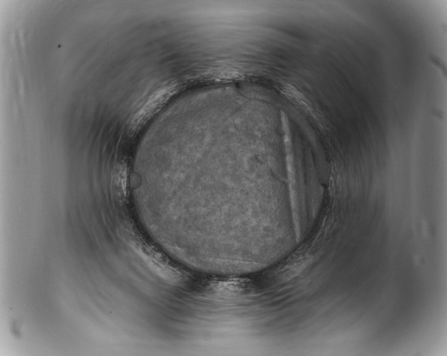 X0000100420072200806201832