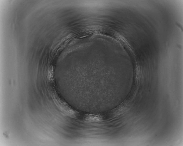 X0000100420073200806201832