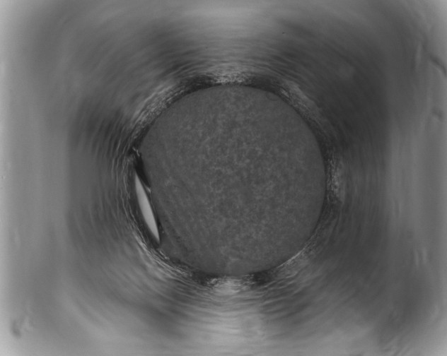 X0000100420074200806201832