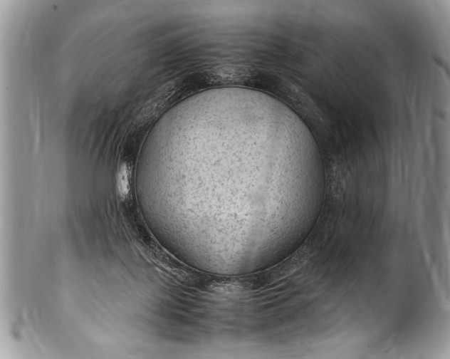 X0000100420075200806201832