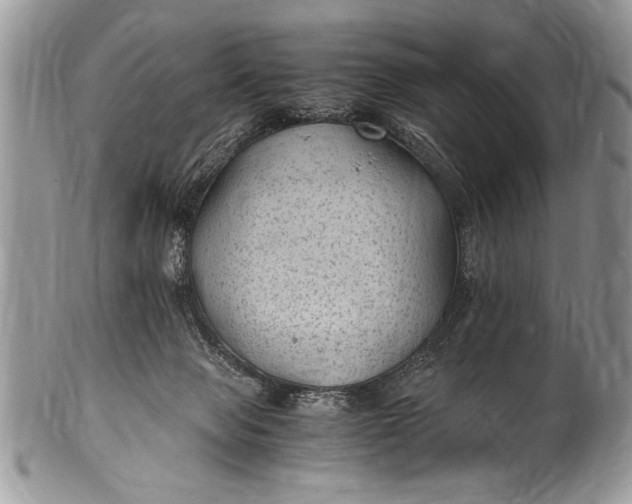 X0000100420077200806201832